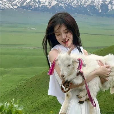 爱与希望的禁区封面